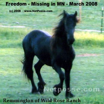 Remmington of Wild Rose Ranch
